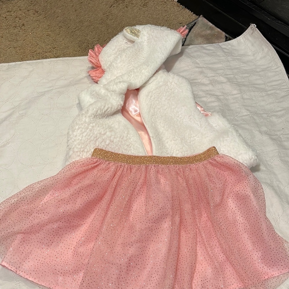 Unicorn lovers set